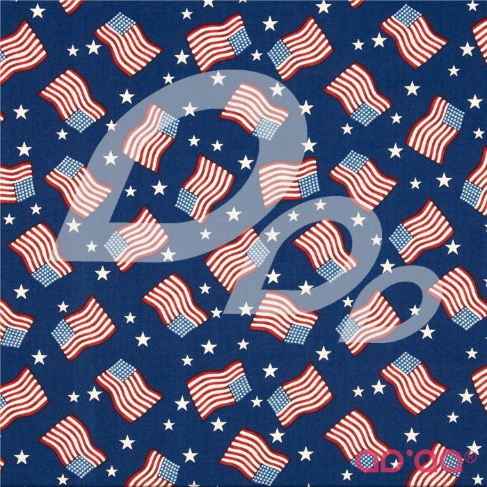 Stars & Stripes II Tossed Flags & Stars Red/White/Blue