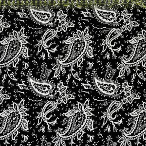 Black Paisley