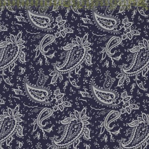 Dark Blue Paisley